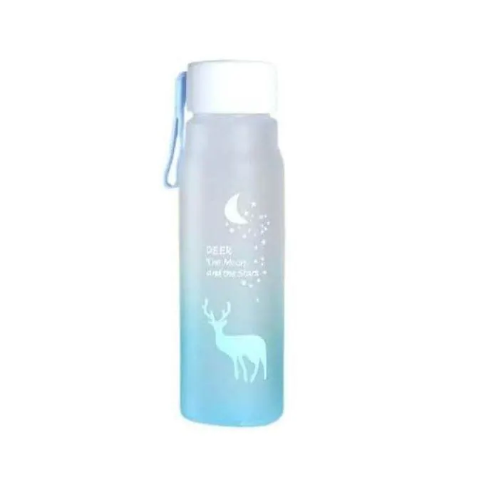 Frosted Water Bottle (600ml)(Colourful) - For Him