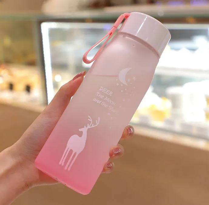 Frosted Water Bottle (600ml)(Colourful) - For Her