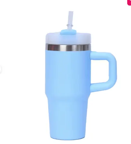 Mini Stainless Steel Flask with Handle and Straw (600ml) - For Her