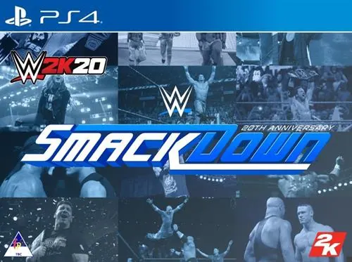 PlayStation 4 Game WWE 2k20 Collectors Edition