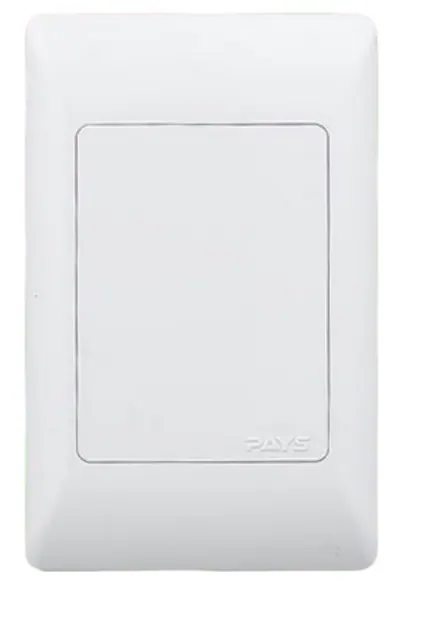 Noble Pays 4x2 Blank Cover Plate