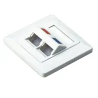 NetiX Angled Face Plate Dual Port with Shuttle