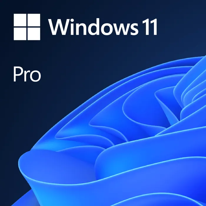 Microsoft Windows 11 Pro Standard OEM
