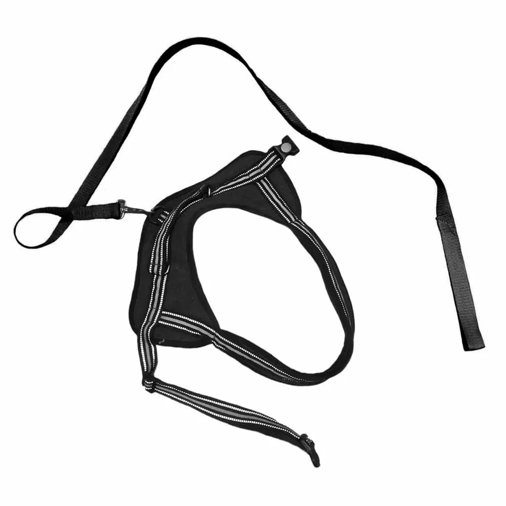 Adjustable No-Pull No-Choke Dog Harness & Leash (XL)