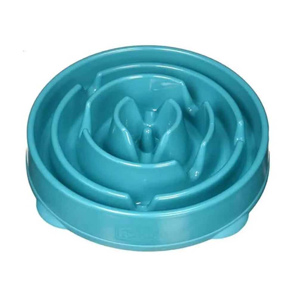 Healthier Pet Fun Interactive Slow Feeder Dog Bowl - S